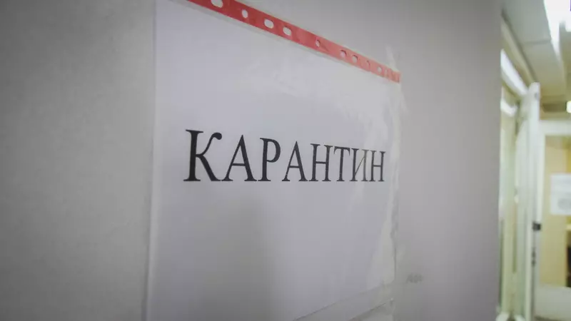 Несколько классов в шести школах Карелии закрыли на карантин