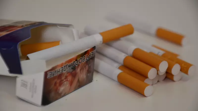 В Карелии могут запретить курить на улице