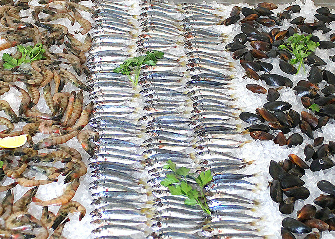 Креветкой по экономике: могут ли морепродукты помочь Карелии