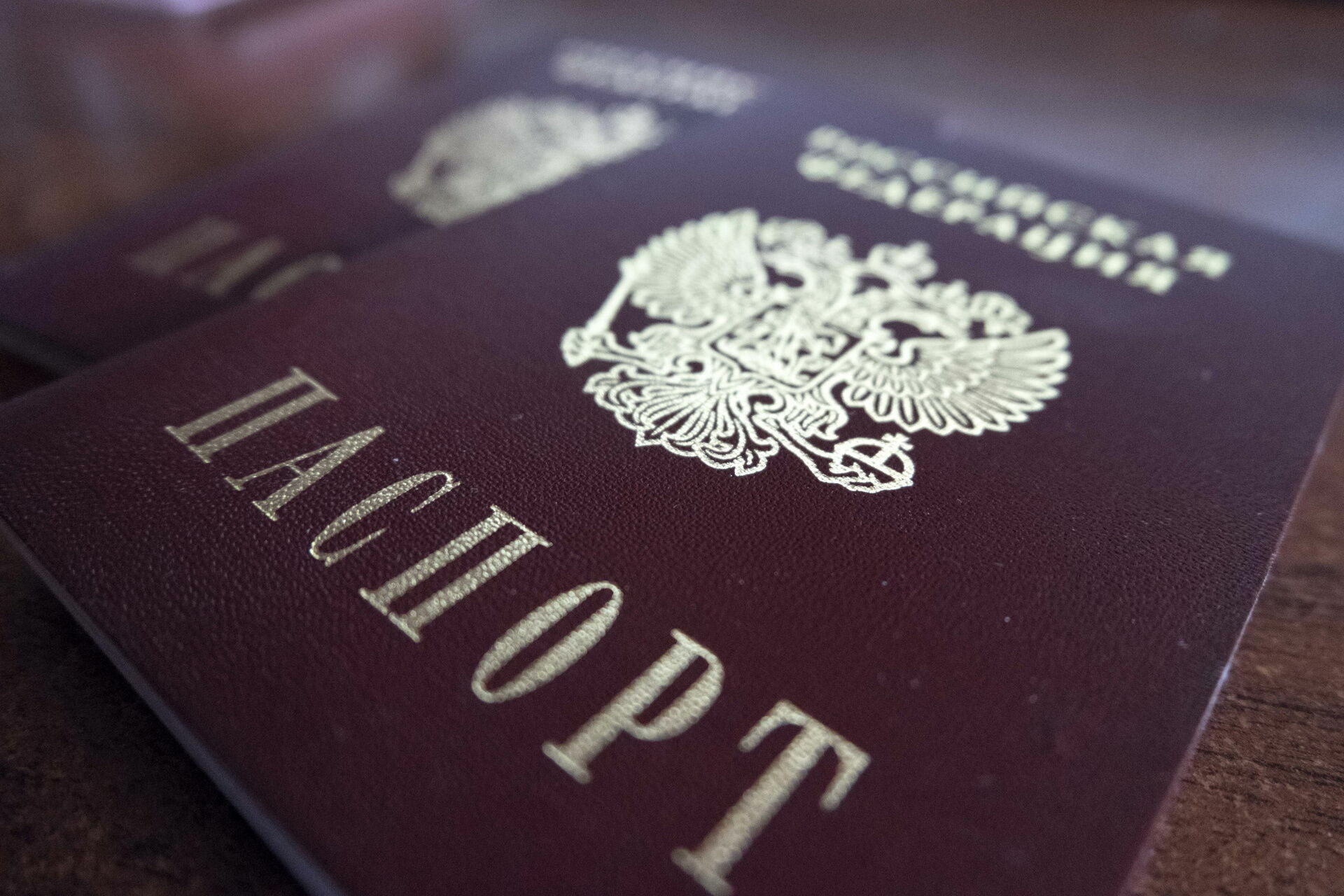 Мобильное приложение заменит россиянам паспорт