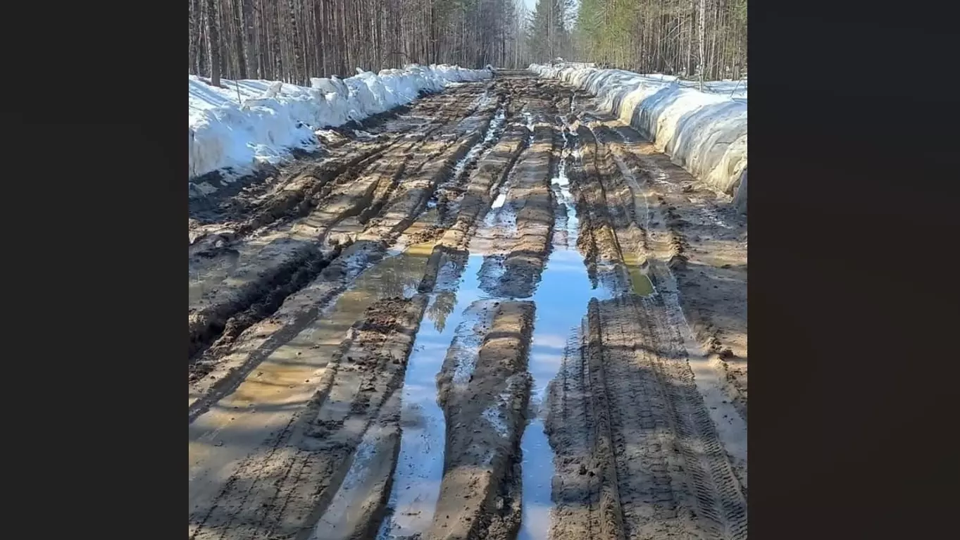 Движение по размытой дороге в Карелии ограничили
