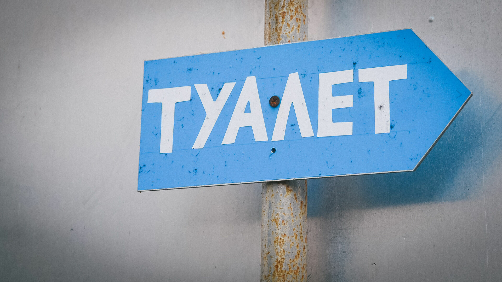 «Просто ужас»: в День города жители Петрозаводска часами стояли в очередь в туалет