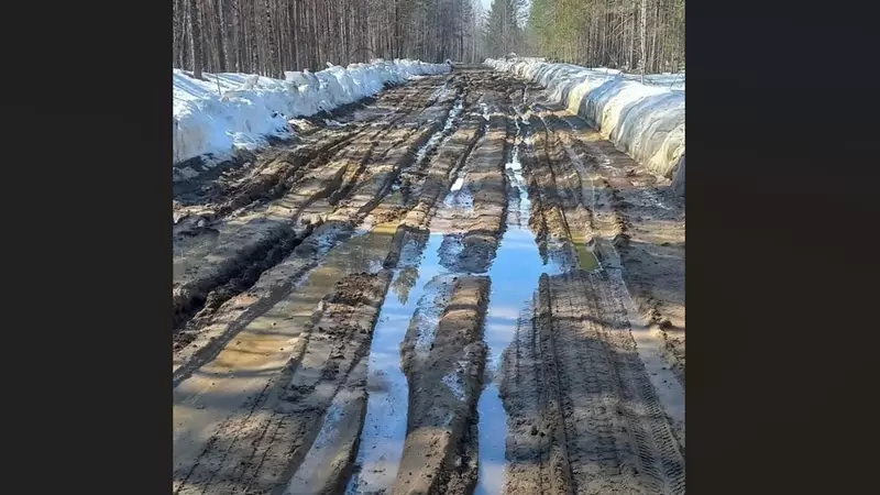 Движение по размытой дороге в Карелии ограничили