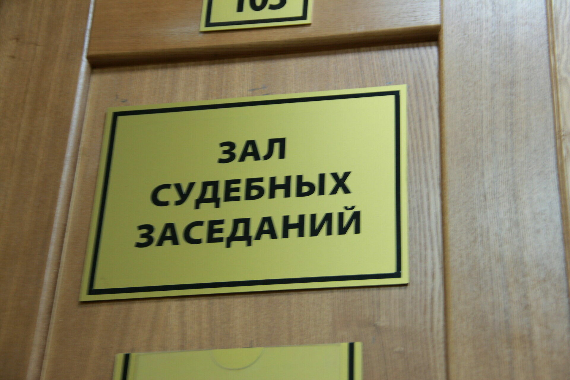 Петрозаводский городской суд продолжил пересматривать дело о гибели детей