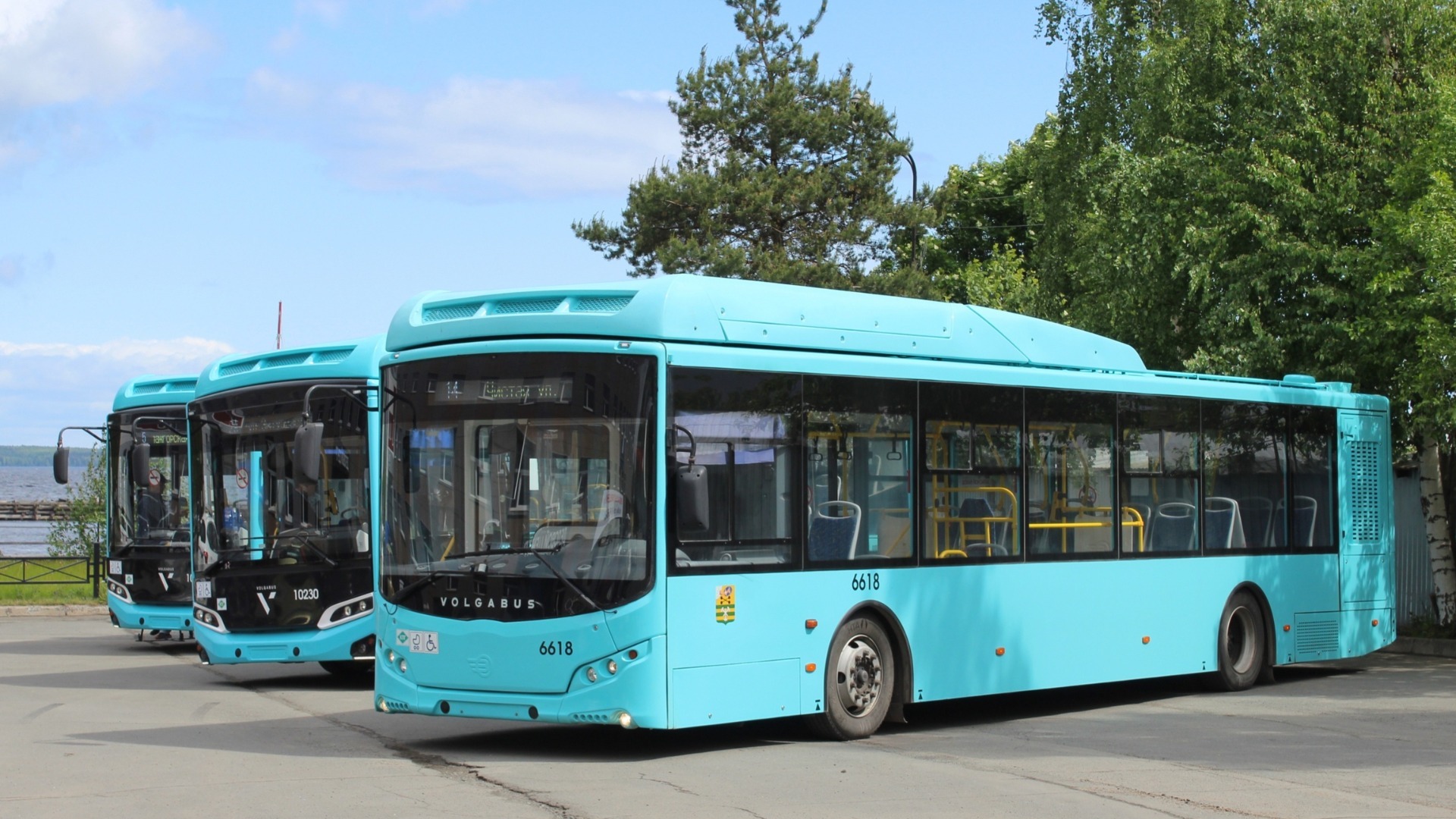 Петрозаводчане массово не оплачивают проезд в новых автобусах