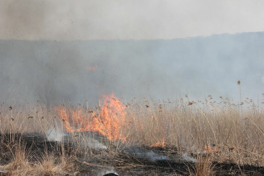 В Карелии продлили связанные с лесными пожарами ограничения