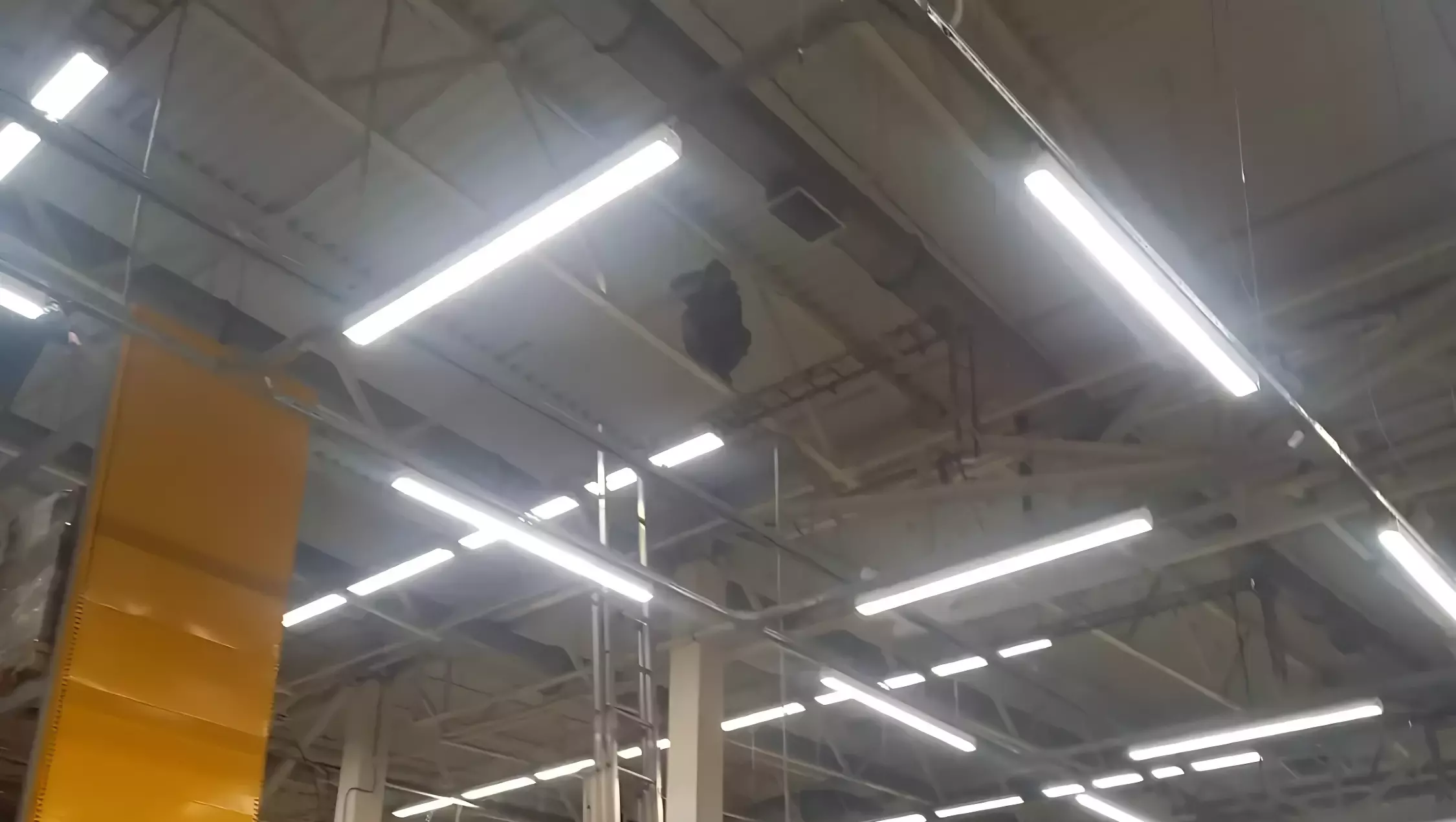 Появилось видео из гипермаркета в Петрозаводске, где мужчина залез под потолок