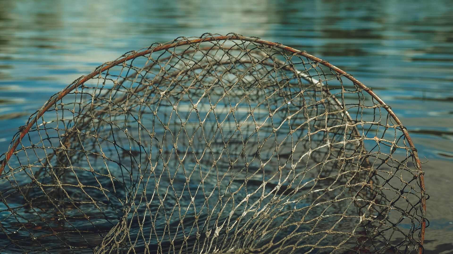 На одном из озер Карелии ограничили лов рыбы