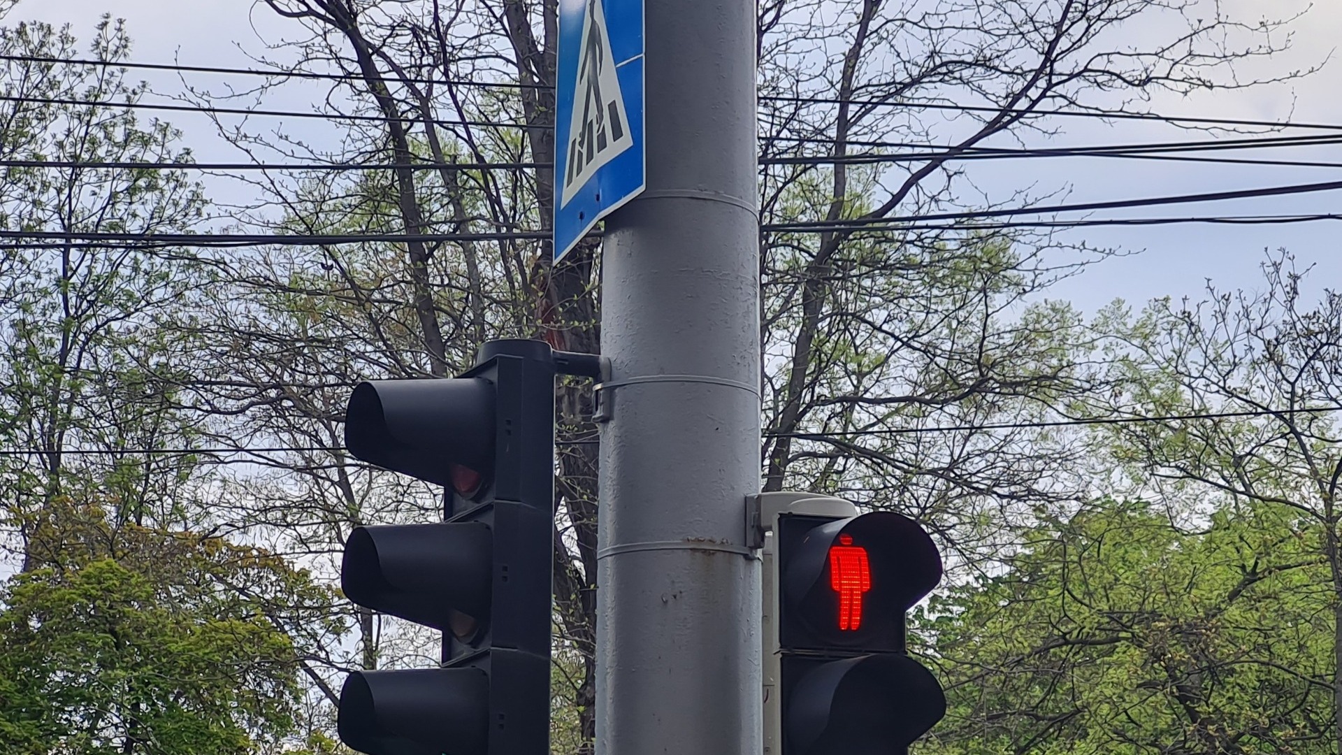 Еще один светофор установят в центре Петрозаводска