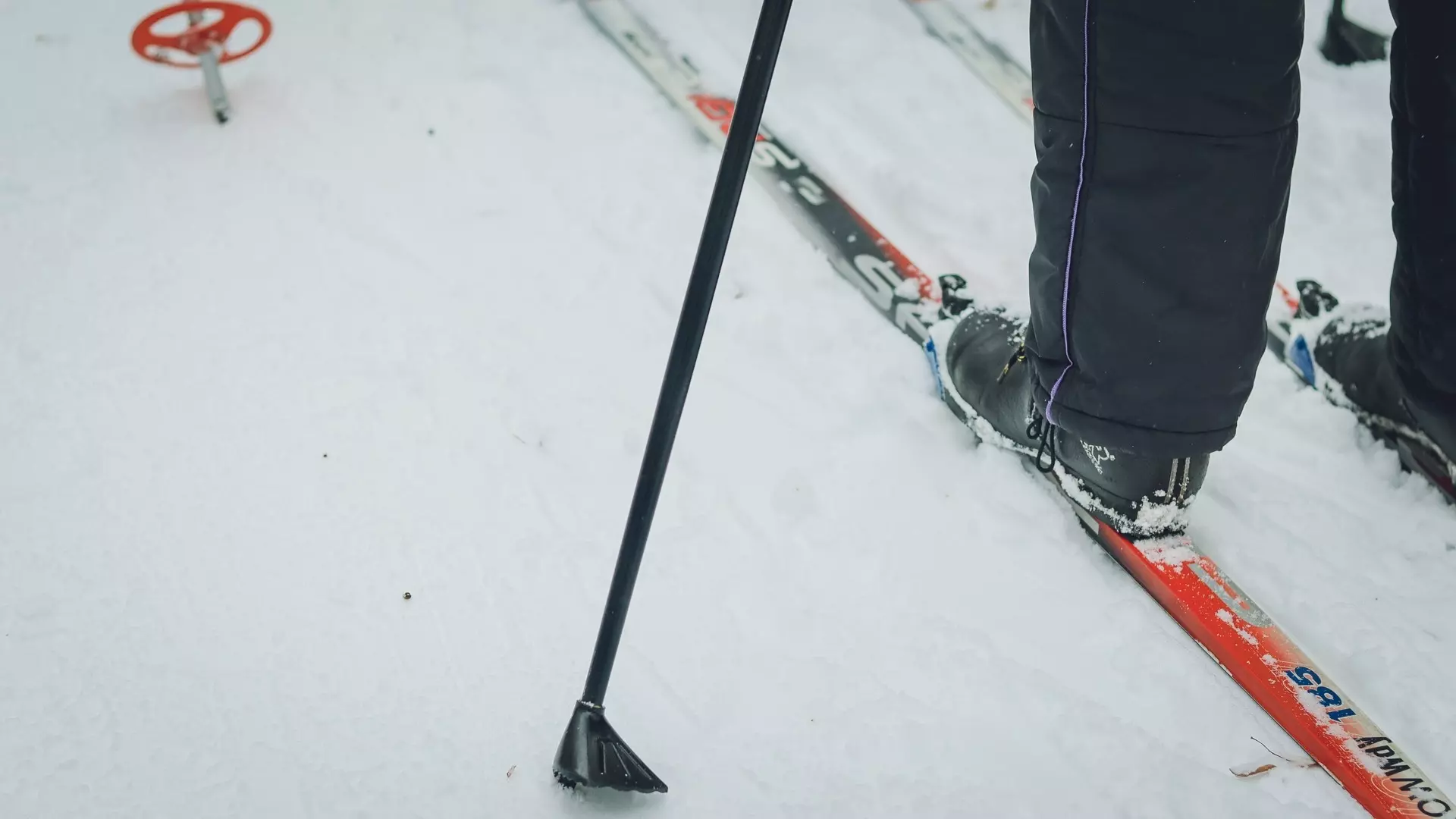 Детский тренер по лыжам сбил и серьезно травмировал петрозаводчанку