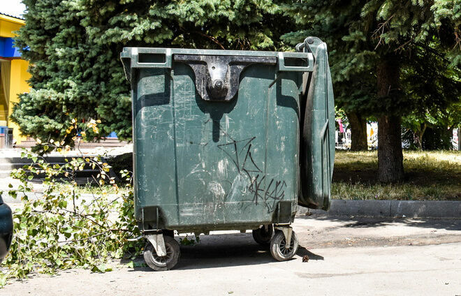 Проверкой дебоша девушек с мусорными баками в Петрозаводске занялась полиция