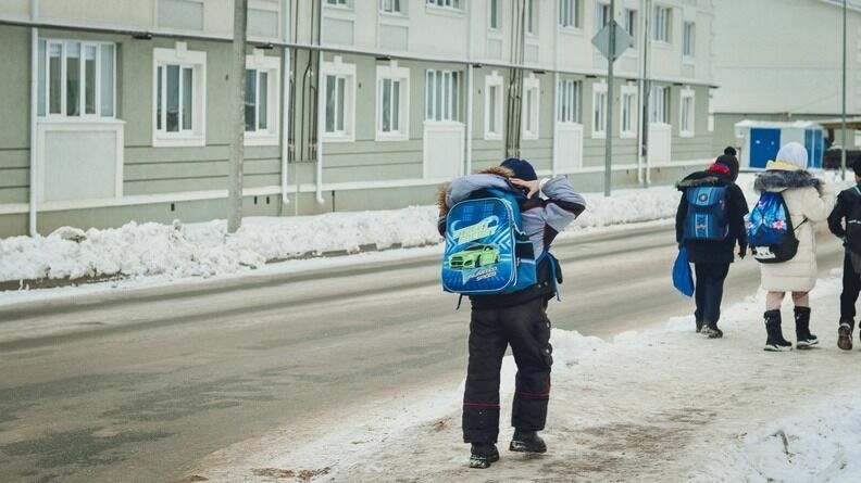 Родители требуют провести проверку школы в Петрозаводске после «модного приказа»