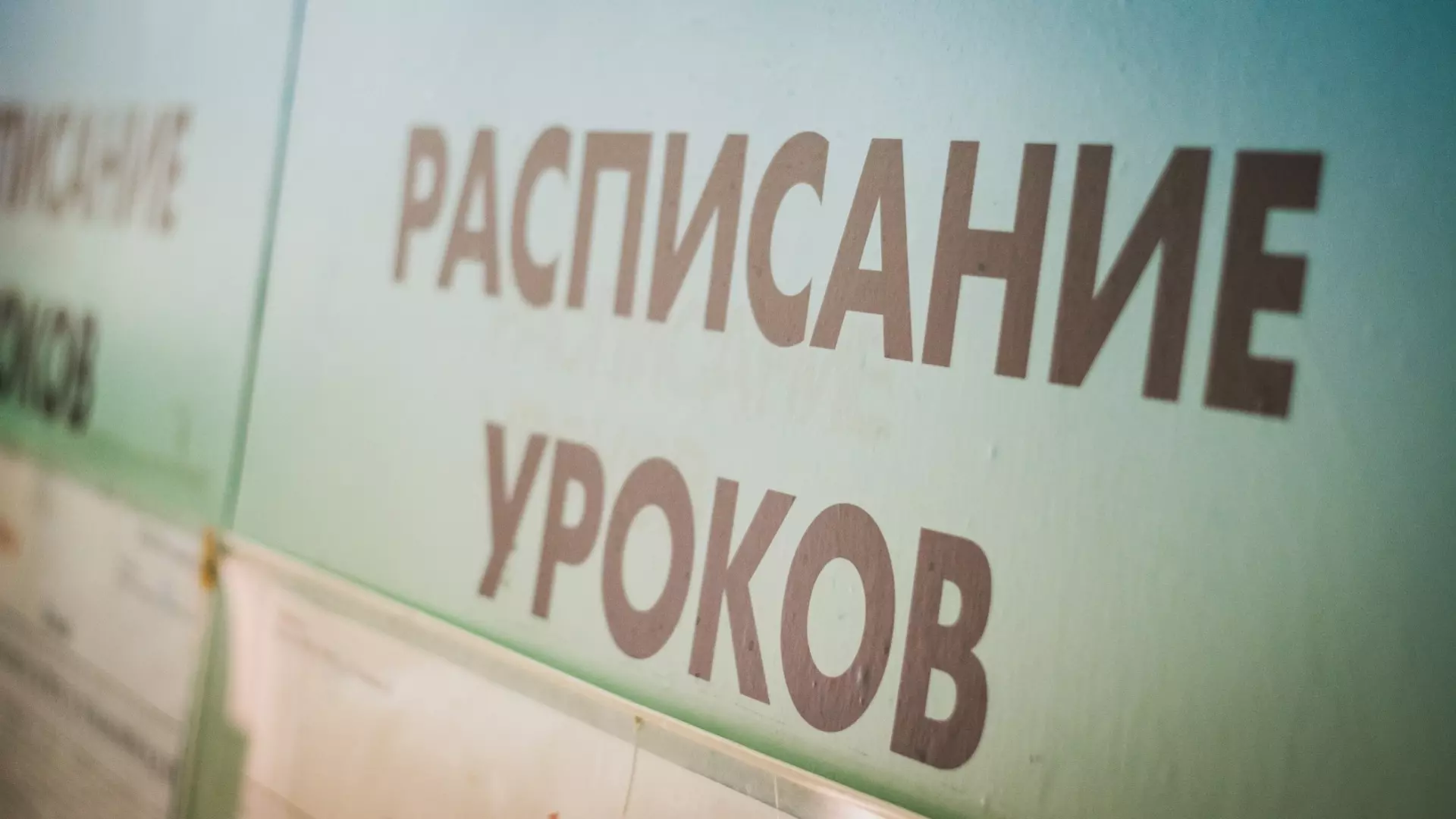 В Петрозаводске проверят школу №36 после публикаций о буллинге среди учащихся