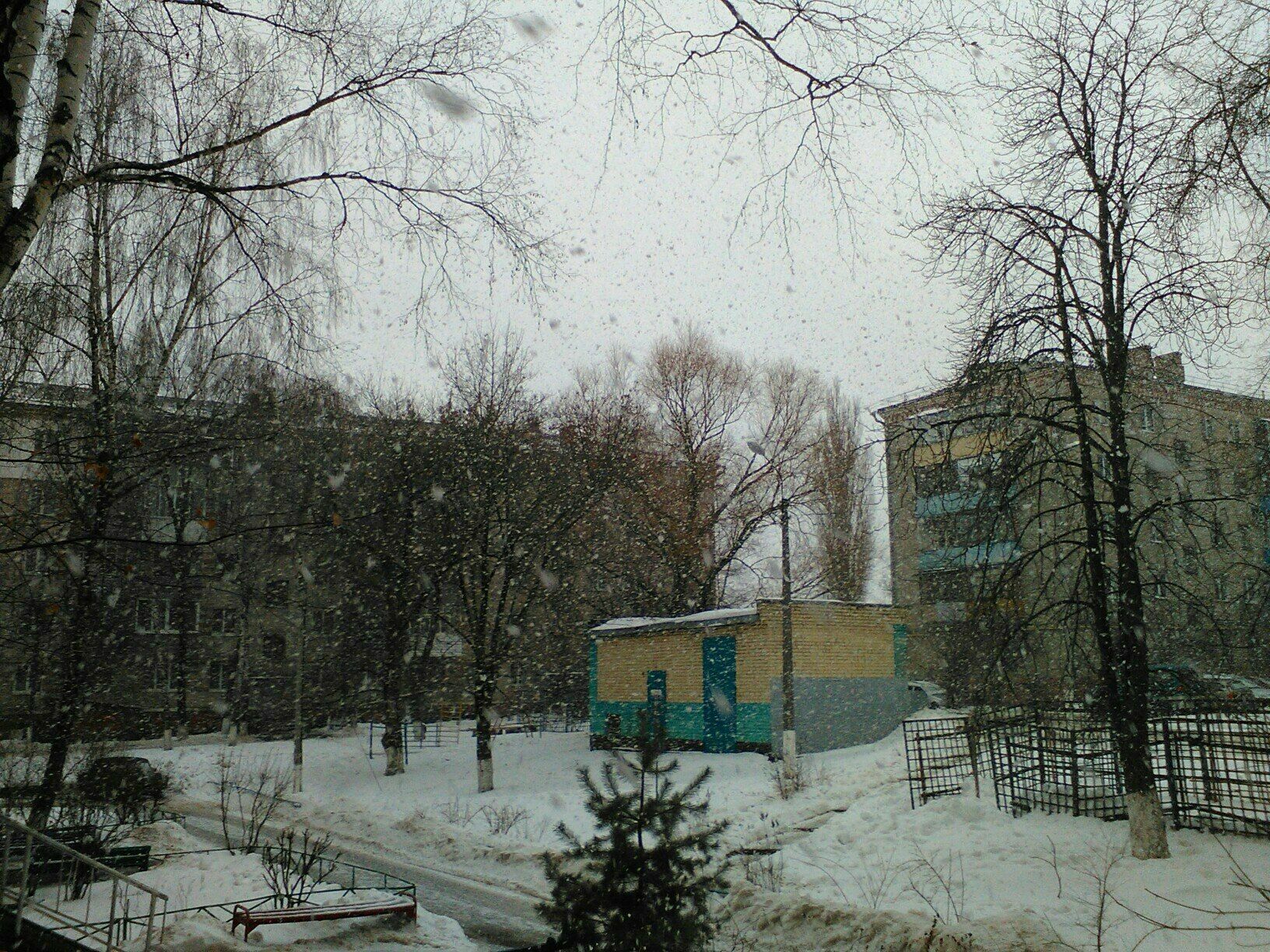 Снежная погода ждёт Петрозаводск в выходные