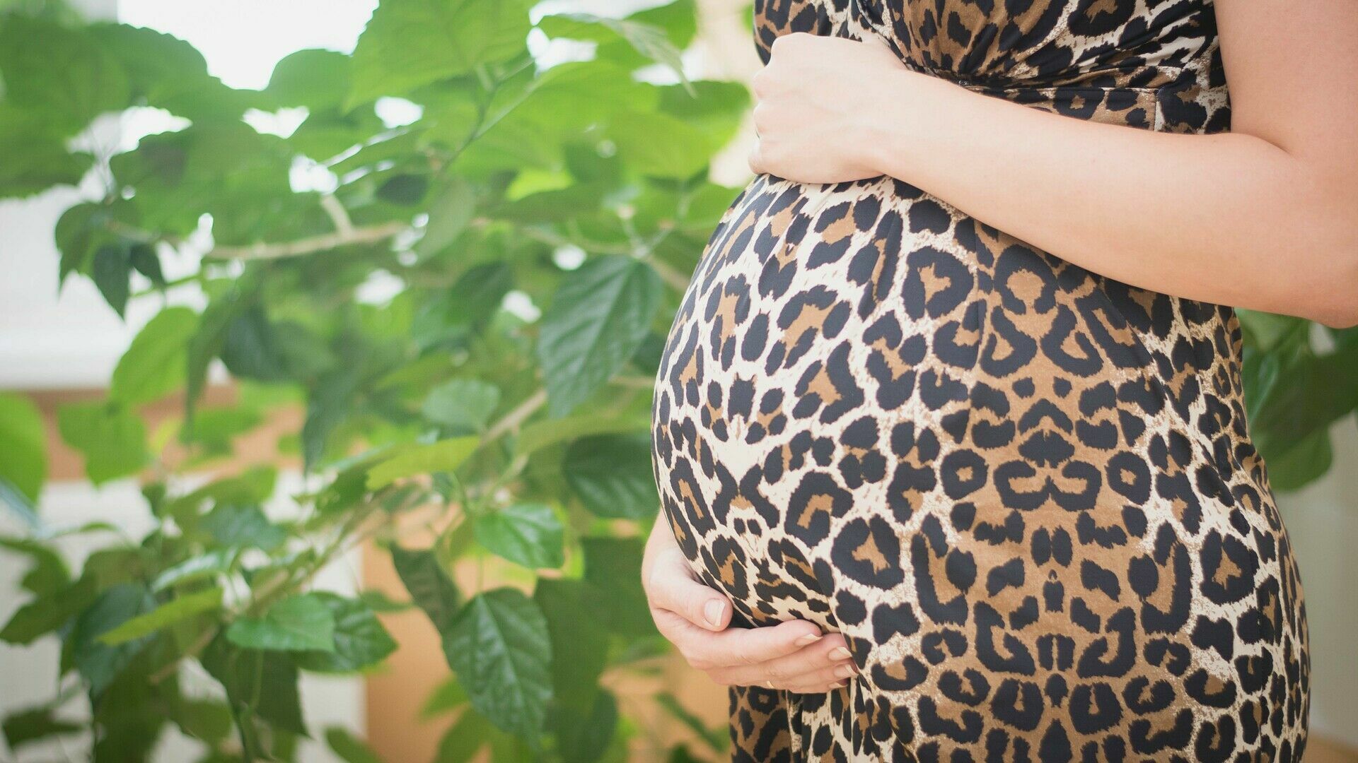 Три сотни беременных женщин заболели коронавирусом в Карелии с начала пандемии