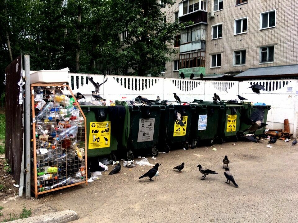 Мэрия Петрозаводска определила места для новых мусорных площадок