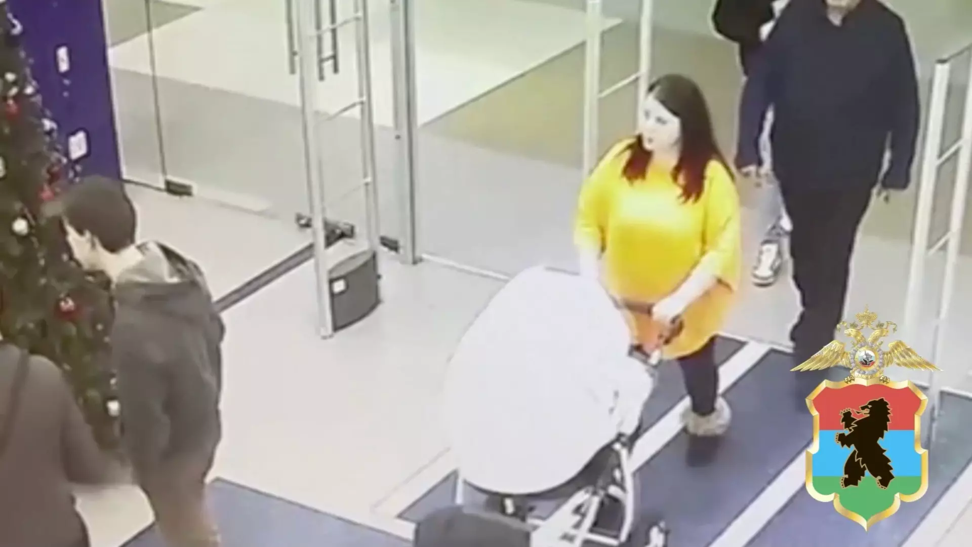 Женщину с коляской разыскивают в Петрозаводске