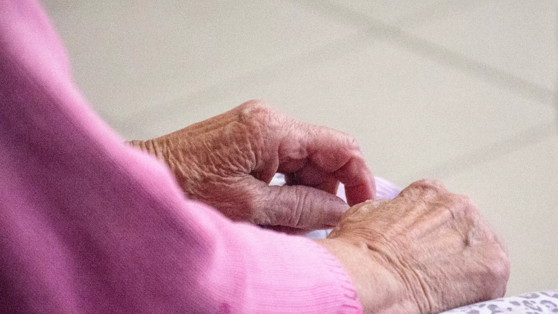 В Карелии пенсионерку просят «найти свидетелей» ее пребывания в концлагерях