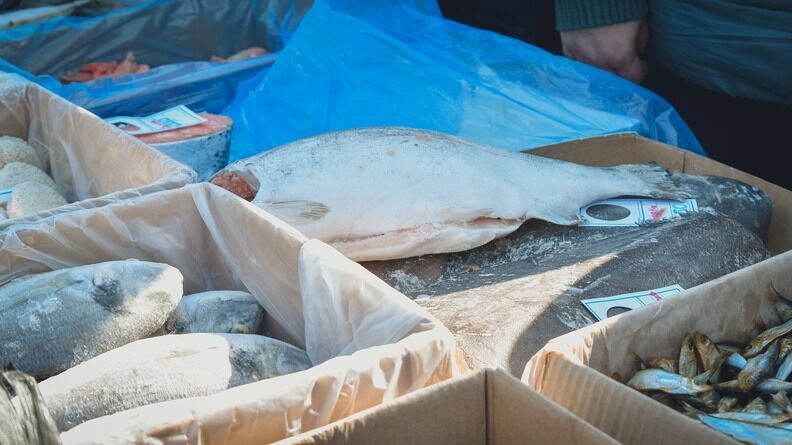 Четыре десятка предприятий в Карелии продавали опасную рыбу