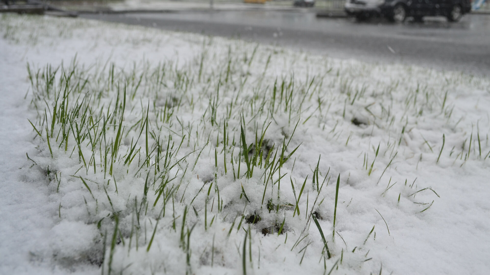 Жителей Петрозаводска ждет первый снег в ближайшие выходные
