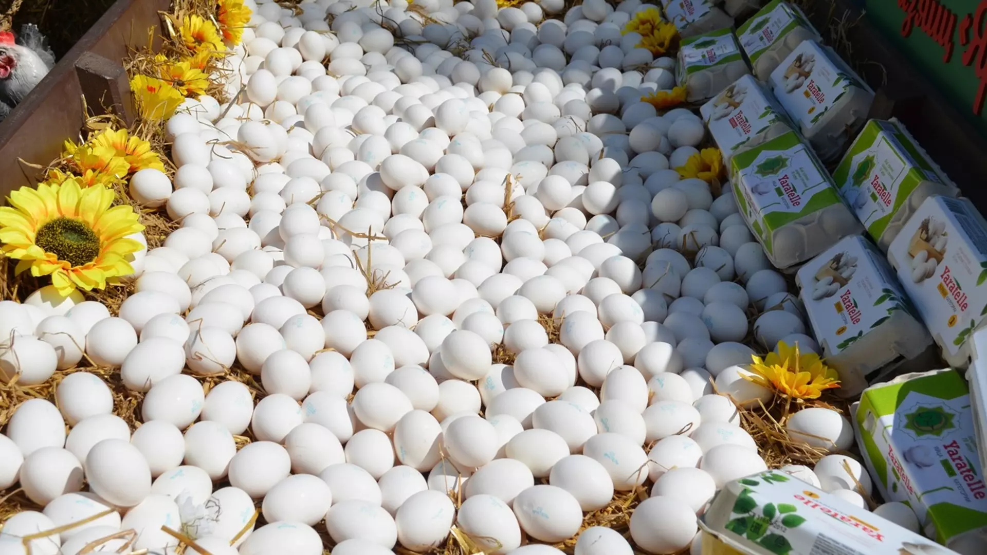 ФАС возбудила еще четыре уголовных дела в отношении производителей яиц