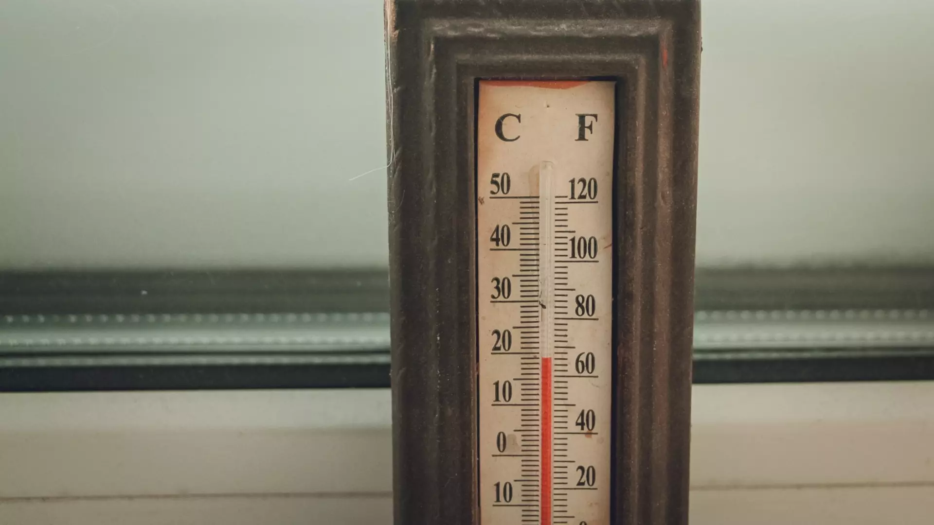 Воздух в Петрозаводске прогрелся до +13 градусов