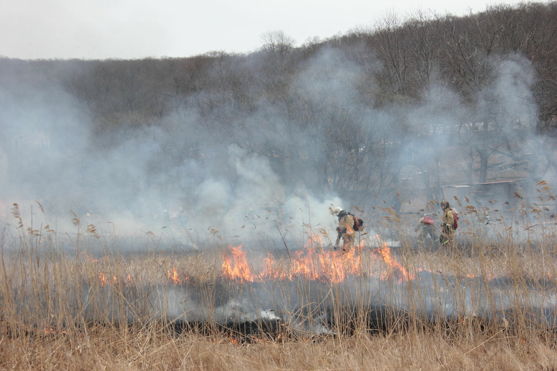 Около 2,5 га леса сгорело в Карелии после «сухих» гроз