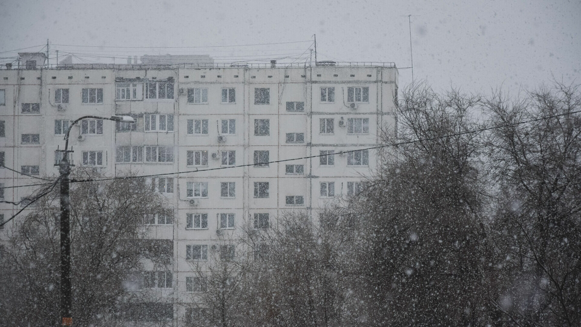 В Петрозаводске отменили «большой» снегопад