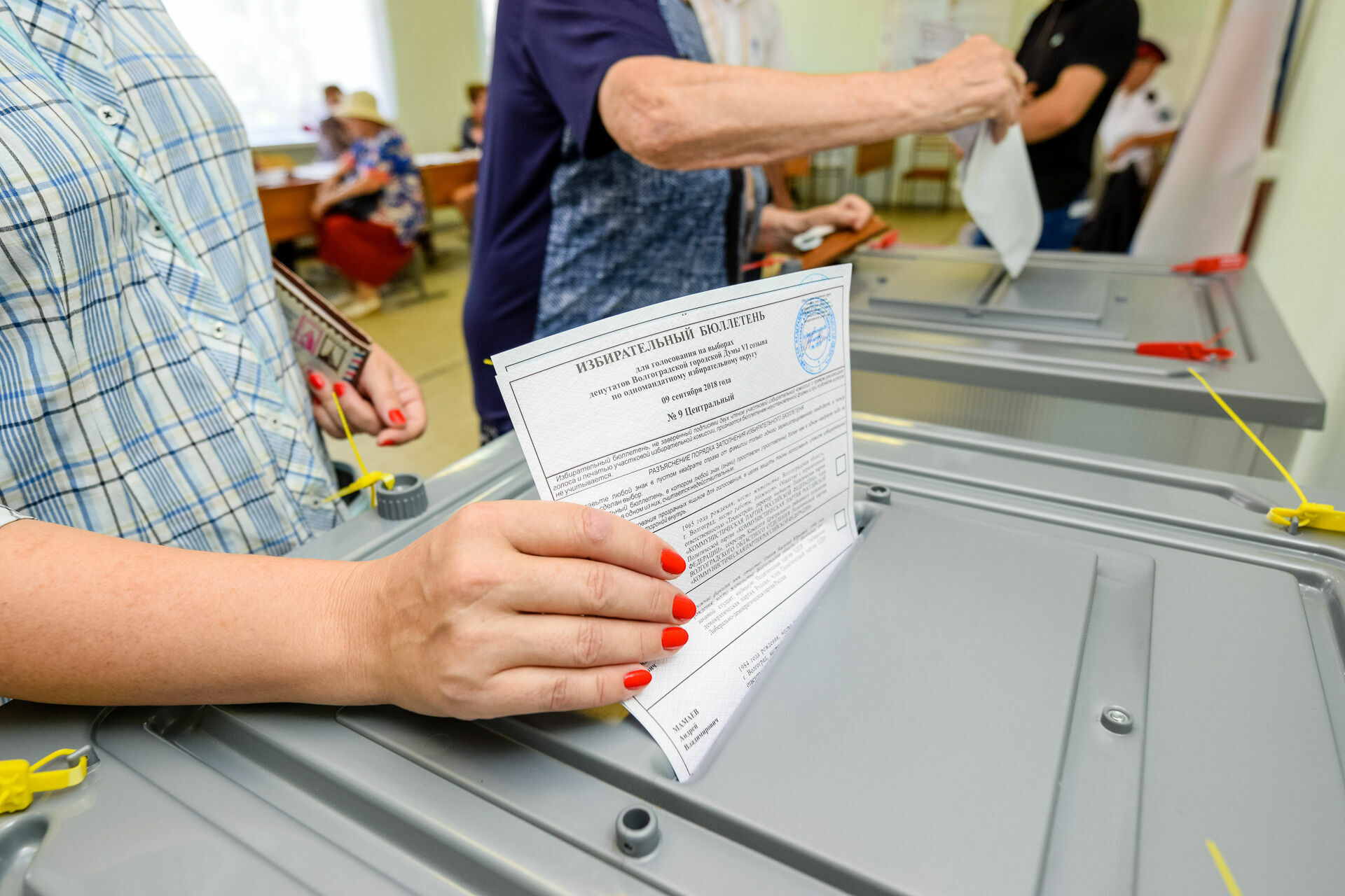 Подсчитаны 80% протоколов на выборах главы Карелии