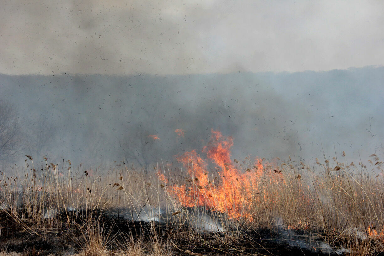 В Карелии официально начинается пожароопасный сезон