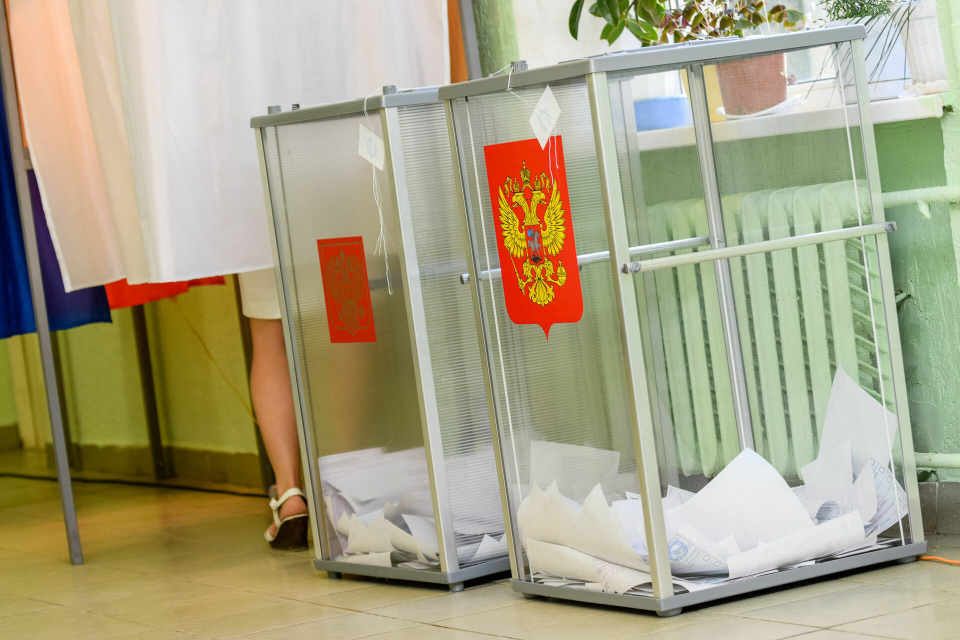 В Карелии завершились трехдневные выборы главы региона