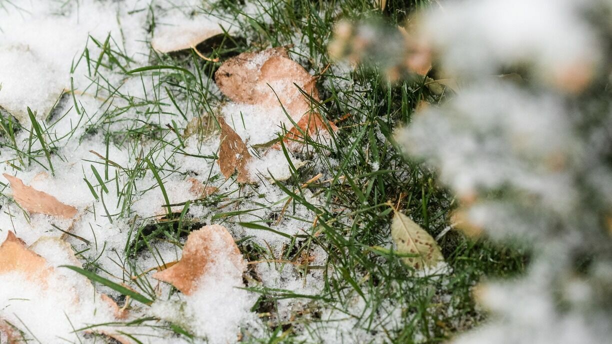 В Карелии синоптики дали неутешительный прогноз погоды на Новый год и Рождество