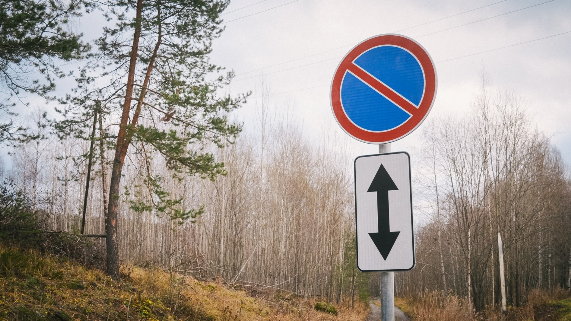 Водители массово игнорируют дорожные знаки в Петрозаводске