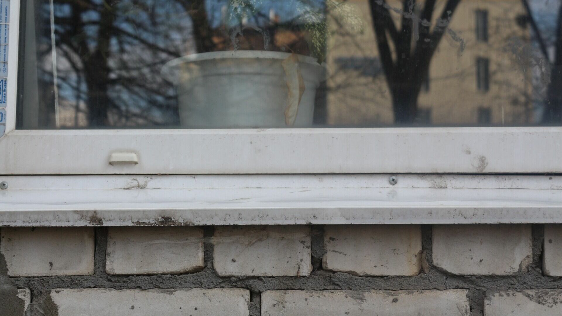 В Петрозаводске школьница выпала из окна