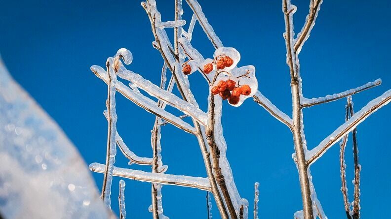 Жители города Карелии делятся в соцсетях кадрами аномального мороза