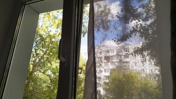 «Страх потеряли»: неизвестные бросили в окно петарду в Петрозаводске