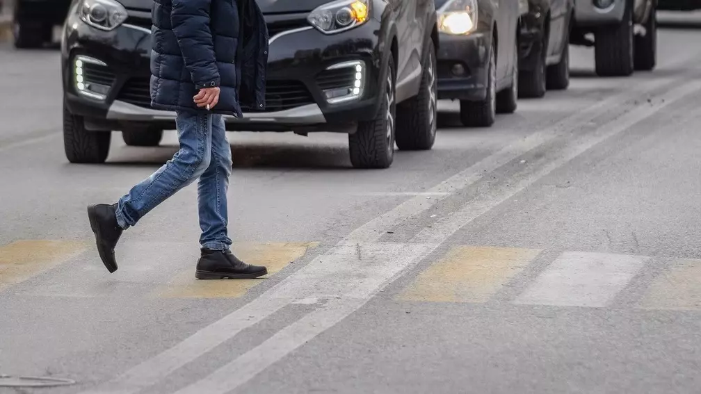 В центре Петрозаводске пешеходы чуть не попали под машину из-за собаки