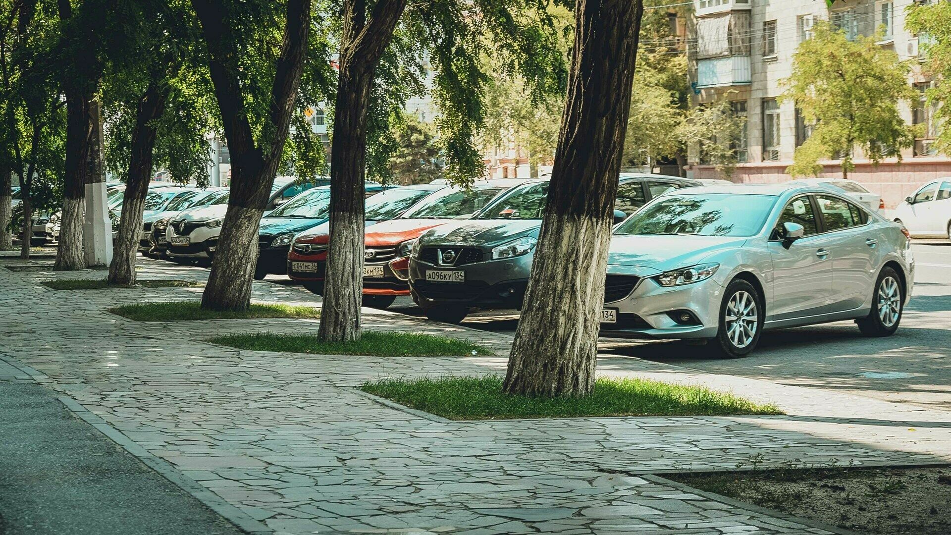 Соцопрос: горожане не готовы платить за парковку в центре Петрозаводска