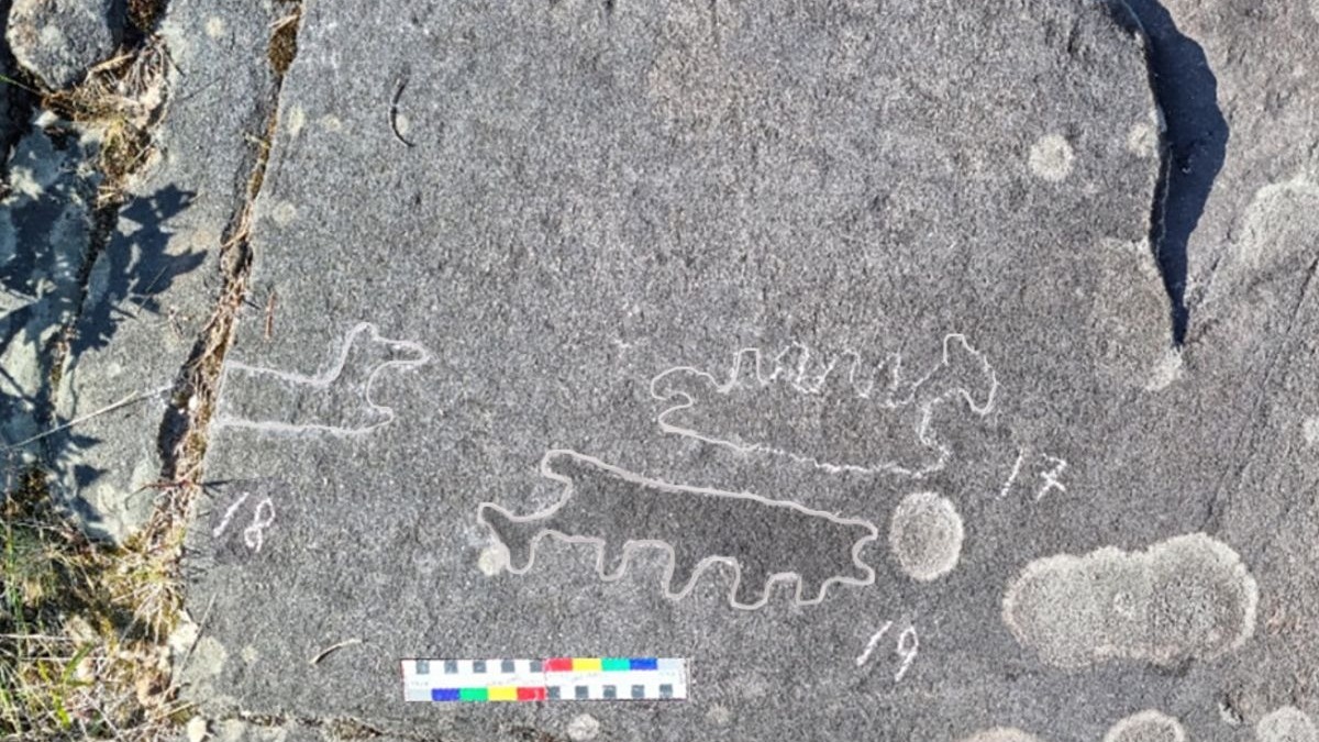 Новый петроглиф обнаружили в Карелии