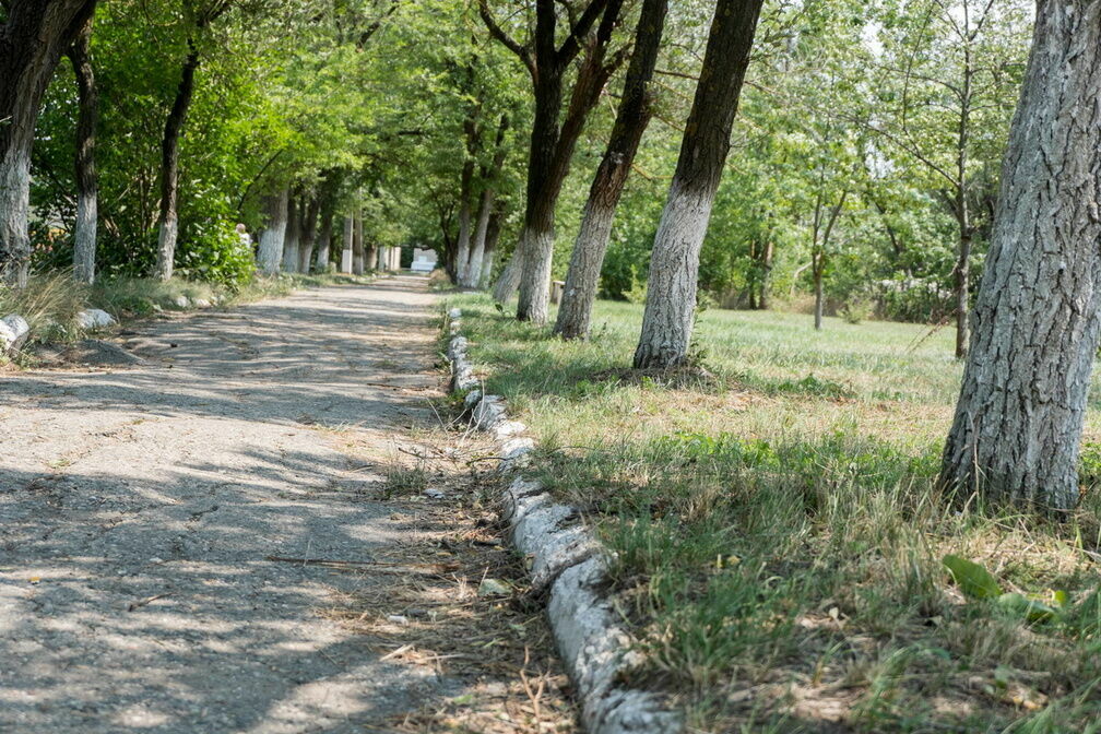 Голый мужчина бродит по парку в Петрозаводске