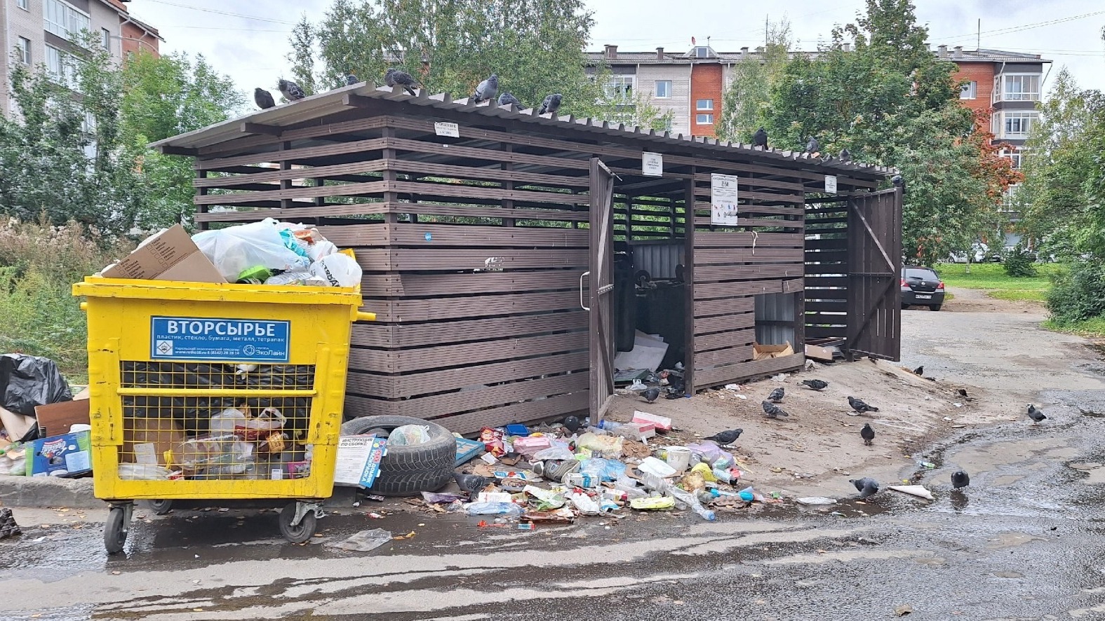 «И так каждый день»: петрозаводчане жалуются на заваленные мусором дворы