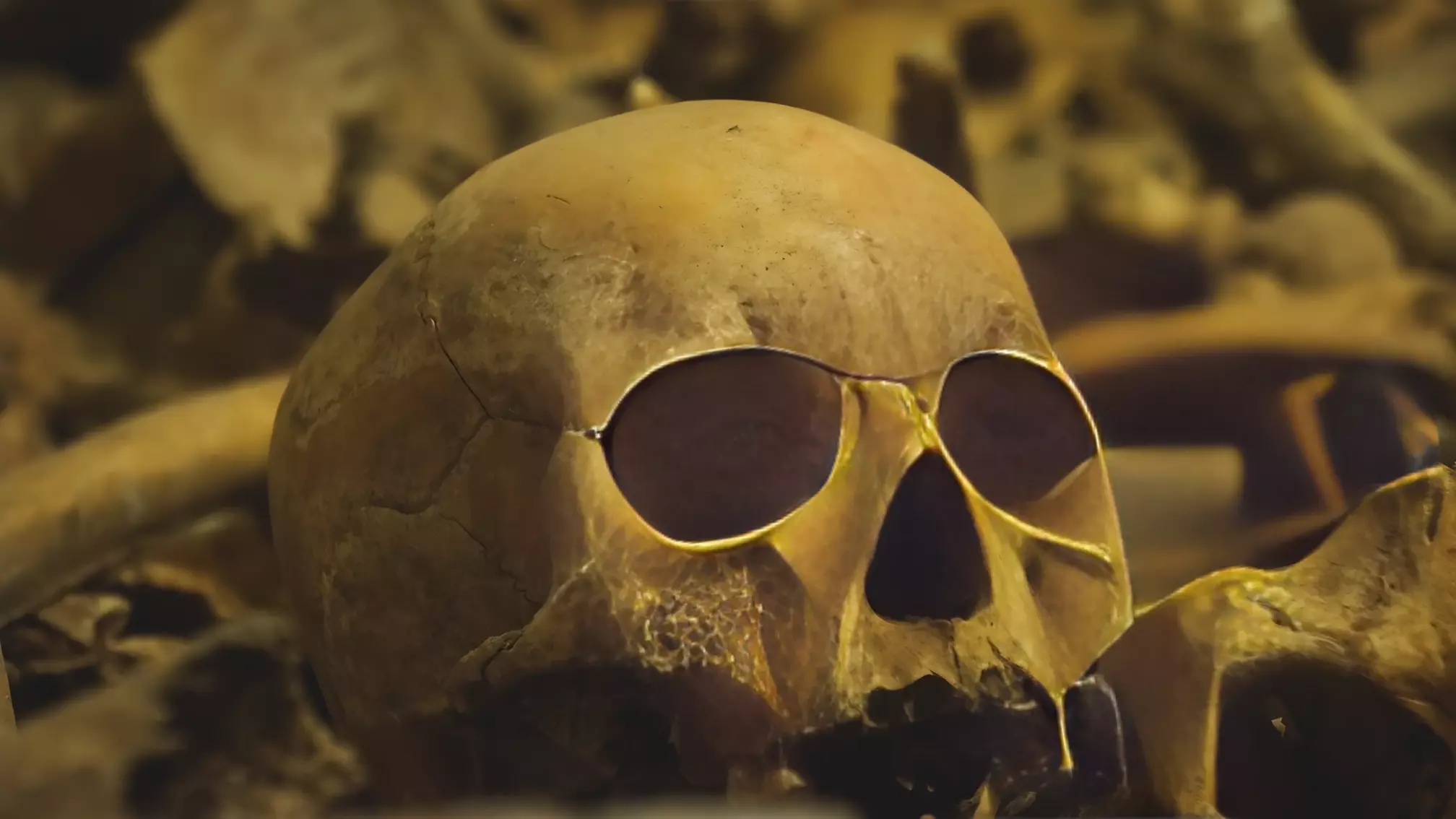 В Карелии в лесу обнаружили человеческие останки