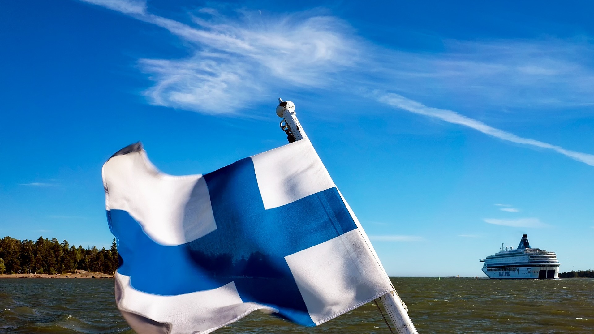 Финляндия разбросает у границ с Карелией вакцину от бешенства