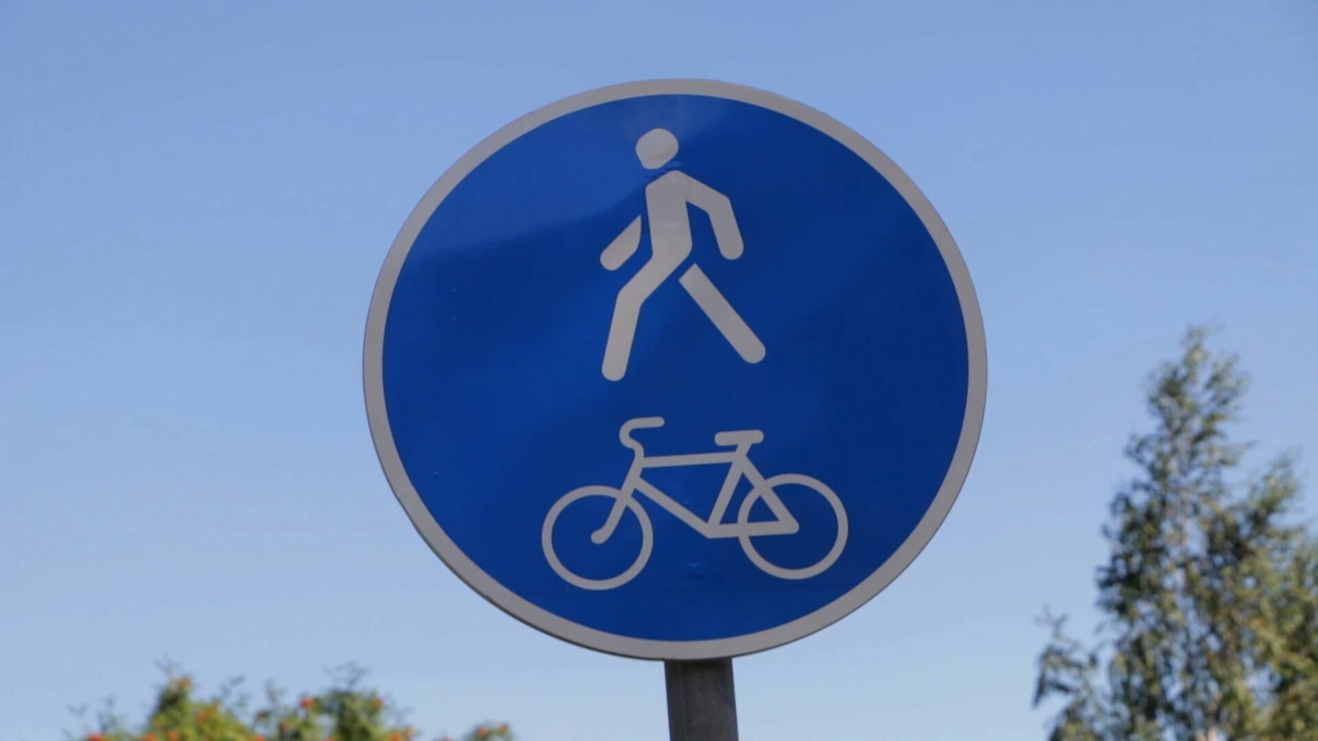 Две велопешеходные дорожки предлагают обустроить в Петрозаводске