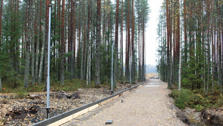 Благоустройство трех парков в Петрозаводске закончилось штрафами