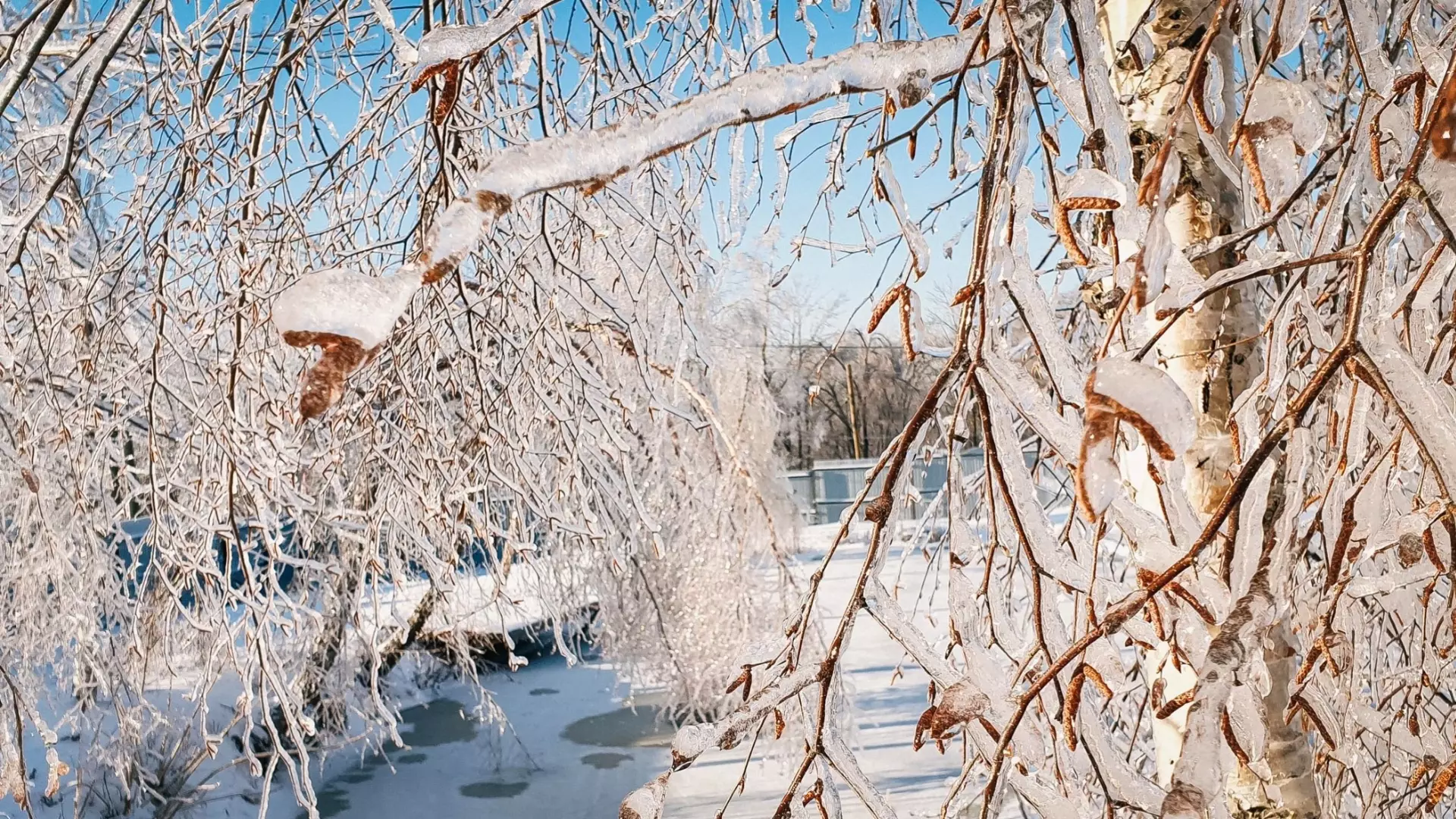 Жителям Петрозаводска назвали адреса, где на них может обрушиться снег