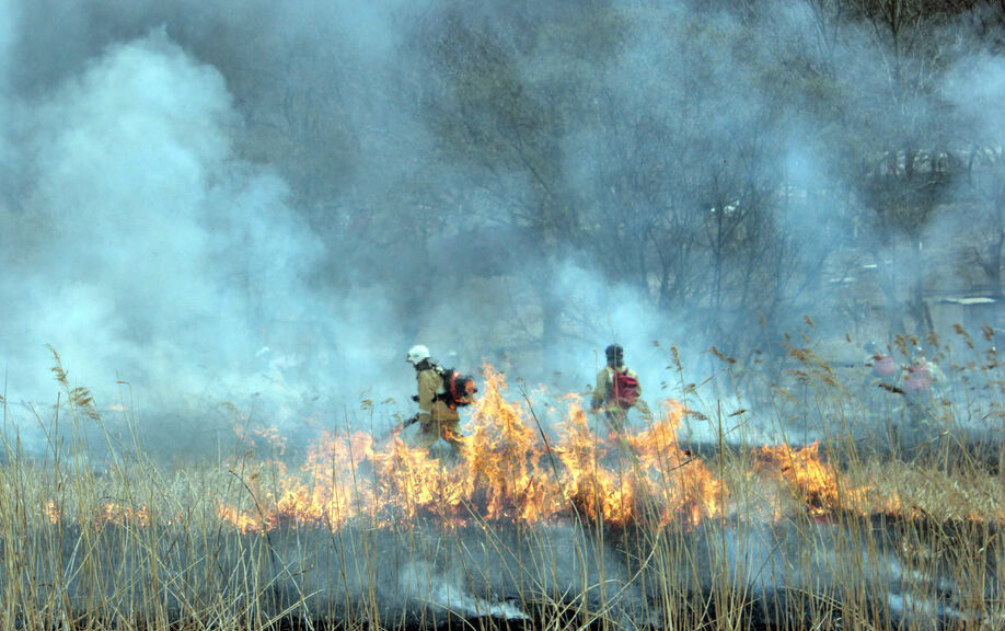 Карелии грозят большие сложности с тушением лесных пожаров