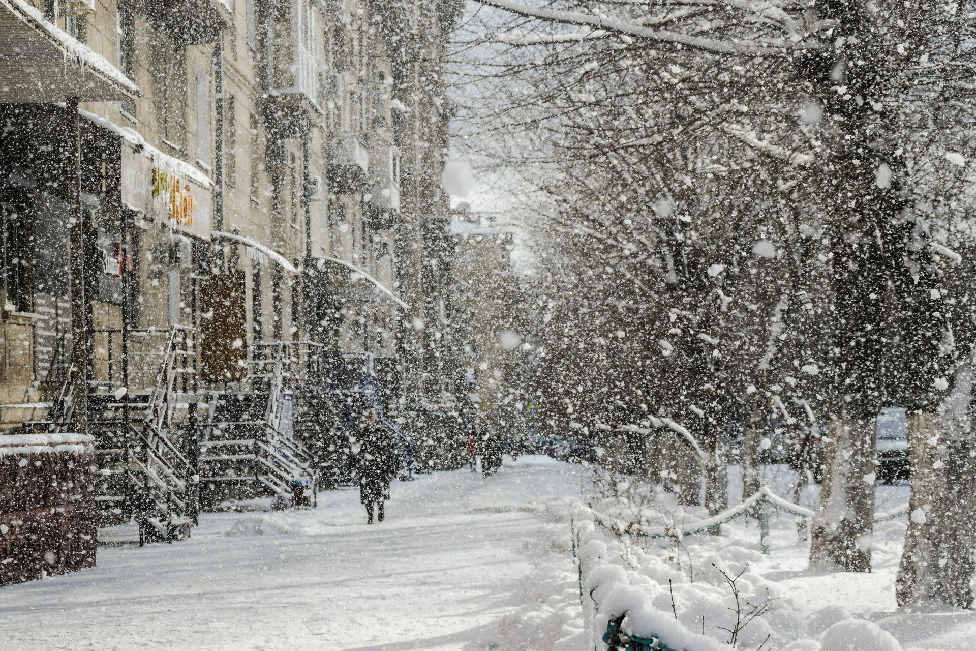 Снежная погода ждёт Петрозаводск в выходные