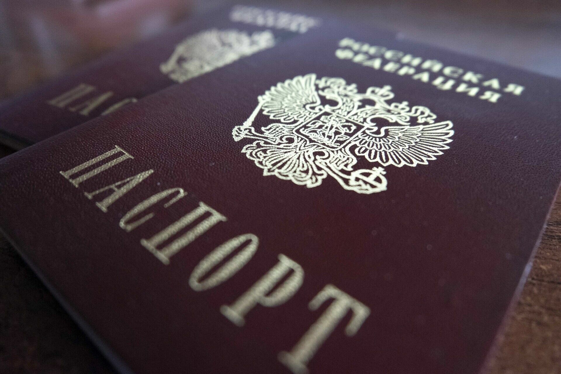 Россиянам показали образец готовящегося к внедрению электронного паспорта